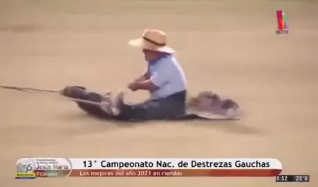 Pepeo campeón de las riendas