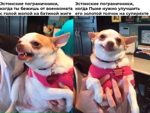 Эстонские пограничники и странные беглецы