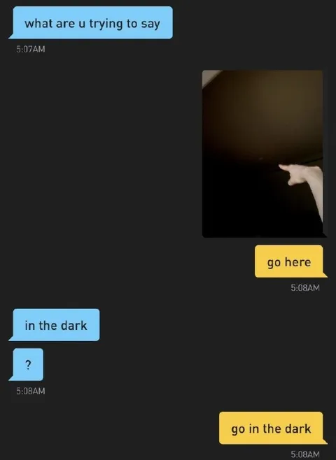 Go in the Dark Misunderstanding