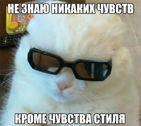 Кот без чувств стиля