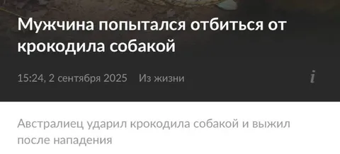 Мужчина отбился от крокодила собакой