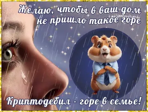 Криптодебил — горе в семье