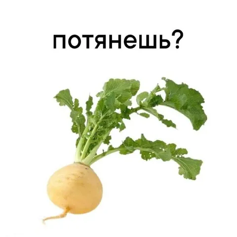 Потянешь репку?