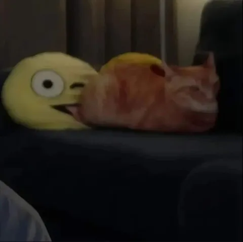 Кот кусает смайлик