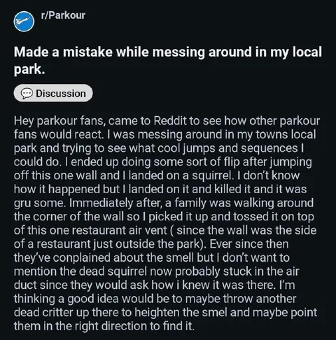 Parkour Mistake With a Squirrel
