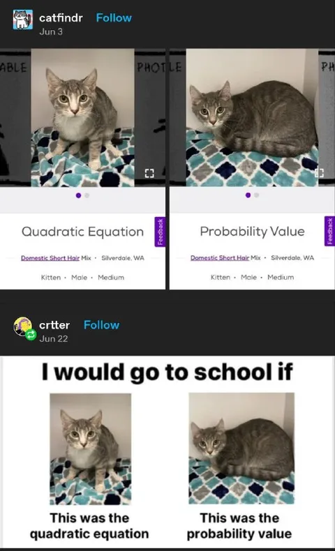 I Would Go to School If