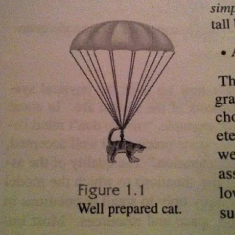 Well Prepared Cat Parachute