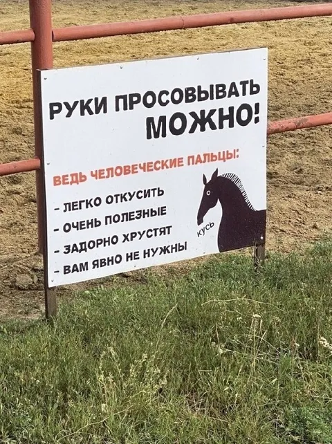 Лошадь советует просовывать руки