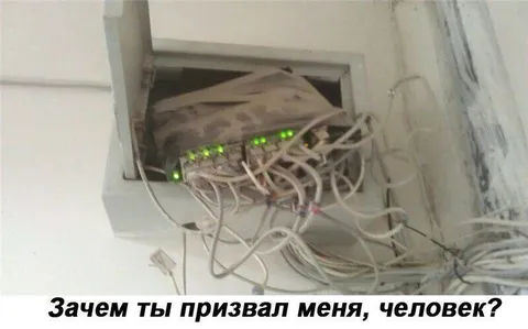 Зачем ты призвал меня, человек?