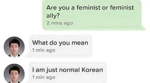 Feminist or feminist ally