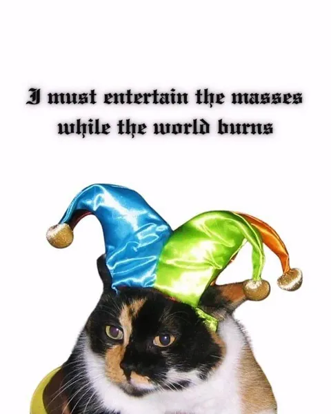 Jester Cat Entertains the Masses