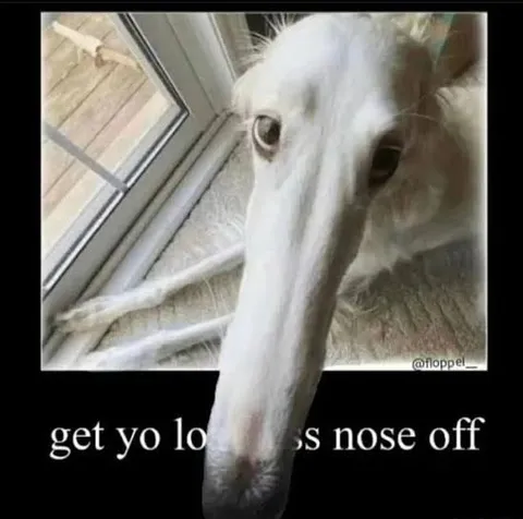 Get Your Long Nose Off