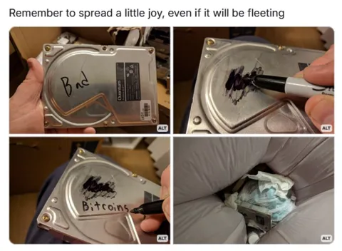 Fleeting Joy Bitcoin Hard Drive