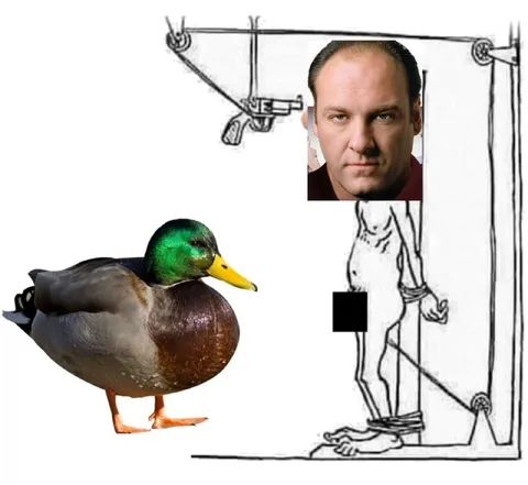 Утки украли хуй