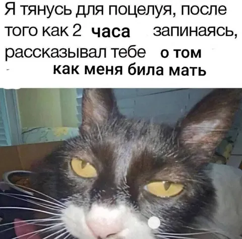 Кот после тяжёлого рассказа