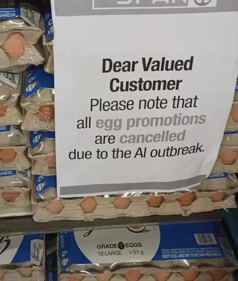Egg Promotions Cancelled by AI