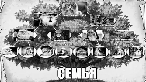 Грибная семья