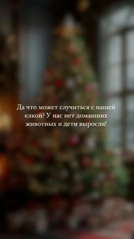 Робот-пылесос устроил погром