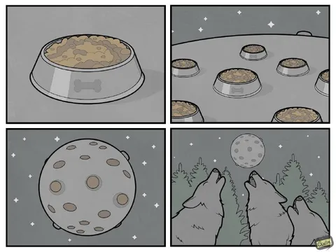 Миски с кормом и луна
