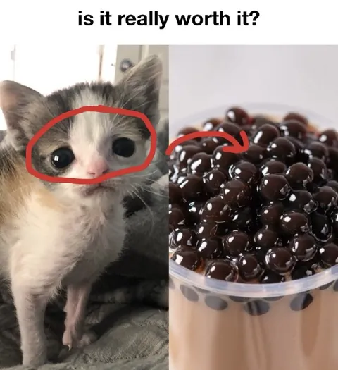 Is It Really Worth It?