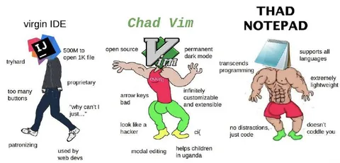 Chad Vim vs Thad Notepad