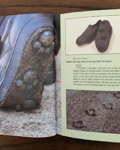 Dog Shoes Take the Blame