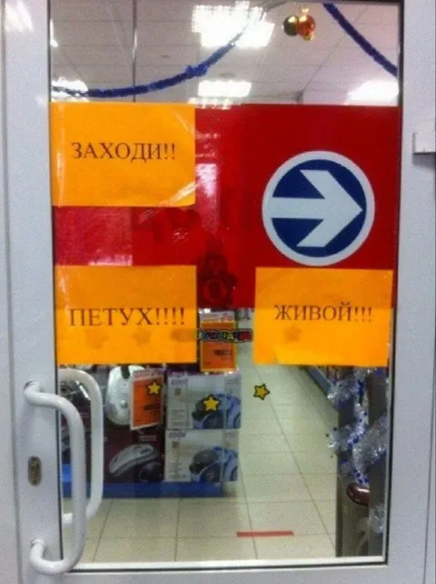 Петух живой, заходи