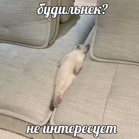 Буду льнек? Не интересует
