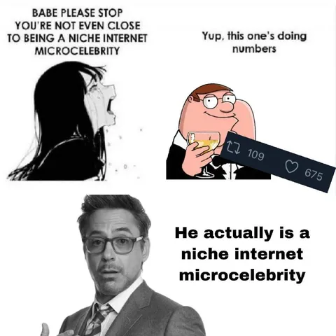 Niche Internet Microcelebrity