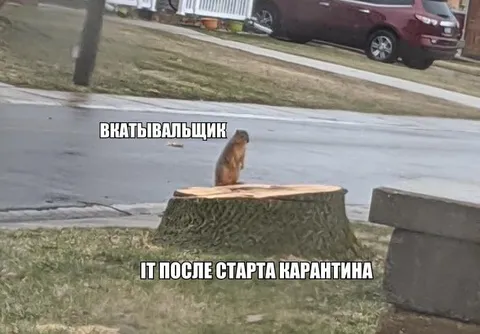 Вкатывальщик после карантина