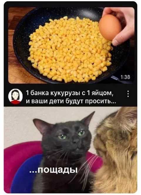 Кукуруза и просьбы о пощаде