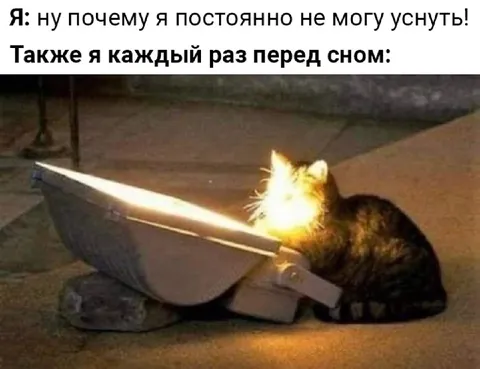 Кот перед сном не может уснуть
