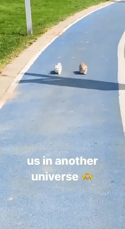 Us in Another Universe