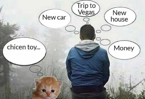 Kitten Wants a Chicken Toy