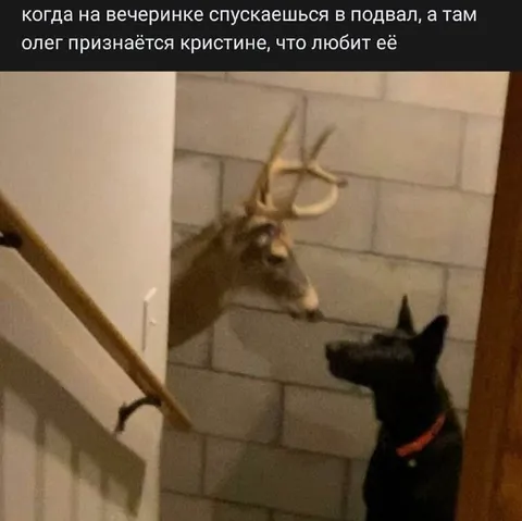 Олег признаётся Кристине