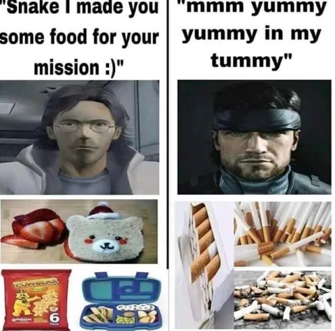 Snake's Mission Food