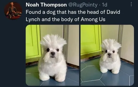 David Lynch Among Us Dog