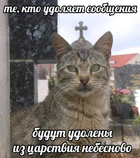 Кот удаляет удаляющих сообщения