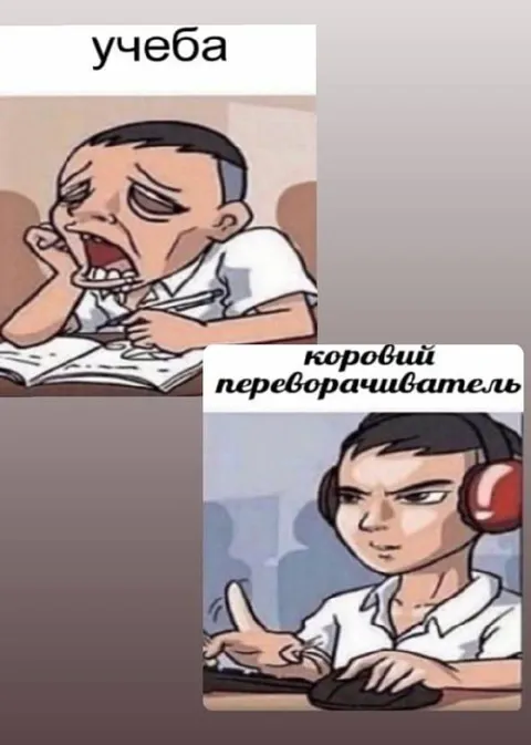 Учёба и коровий переводитель