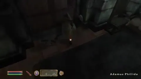Adamus Phillida Gets Door Slammed