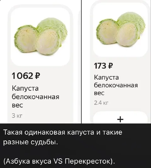 Одинаковая капуста, разные судьбы