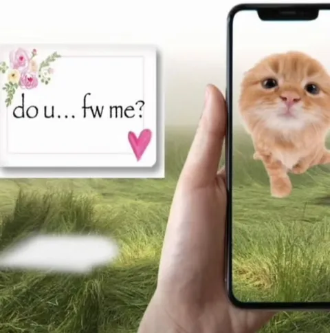 Do You FW Me Cat