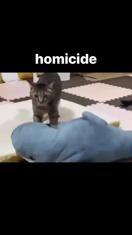 Cat Commits Homicide