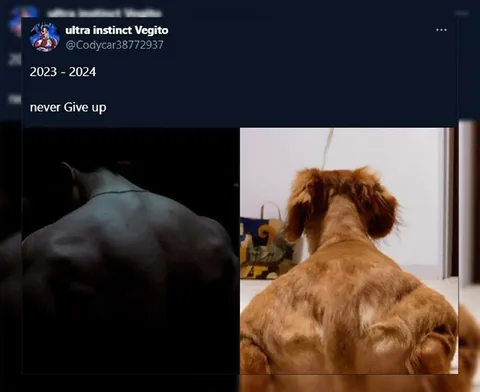 Never Give Up Transformation