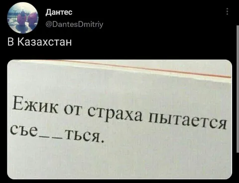 Ёжик пытается съебаться