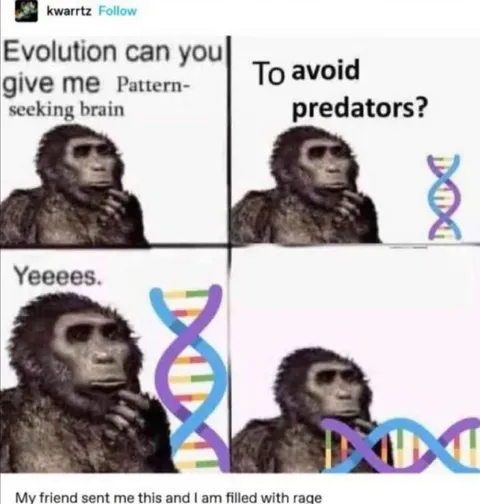 Evolution Gives a Pattern-Seeking Brain