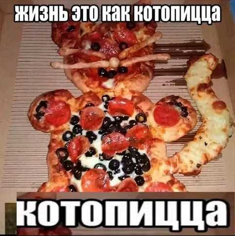 Жизнь это как котопицца
