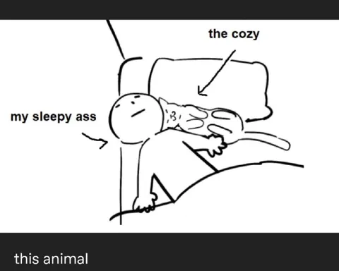 Sleepy Ass In The Cozy