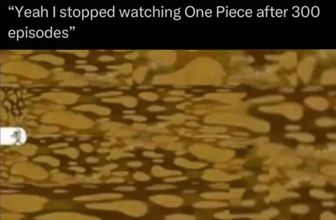 Stopped One Piece After 300 Episodes
