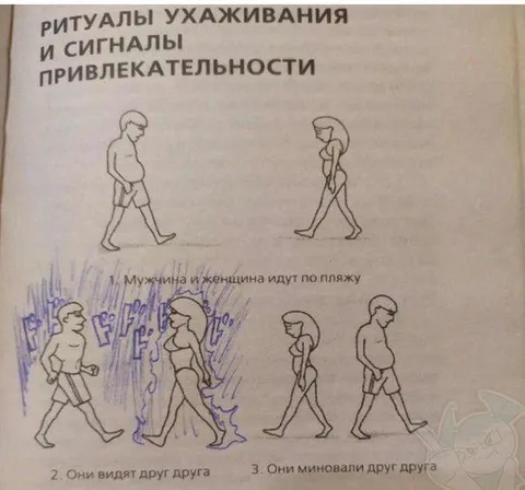 Ритуалы ухаживания на пляже